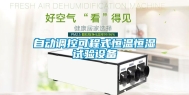 自动调控可程式恒温恒湿试验设备