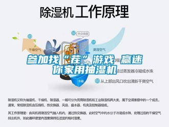 企业新闻参加找“茬”游戏 赢迷你家用抽湿机