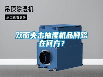 知识百科双面夹击抽湿机品牌路在何方？