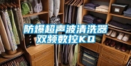 防爆超声波清洗器双频数控KQ
