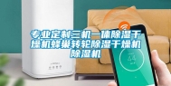 专业定制三机一体除湿干燥机蜂巢转轮除湿干燥机除湿机