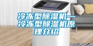 冷冻型除湿机—冷冻型除湿机原理介绍