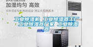 工业除湿机 工业除湿器工厂 工业除湿器厂家 工业除湿器