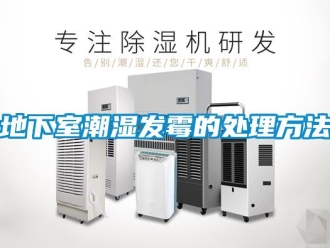 企业新闻地下室潮湿发霉的处理方法