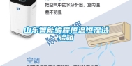 山东智能编程恒温恒湿试验箱