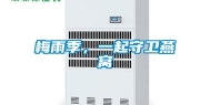 梅雨季，一起守卫燕窝