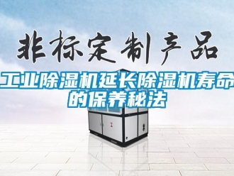 企业新闻工业除湿机延长除湿机寿命的保养秘法
