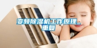变频除湿机工作原理_重复