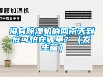 行业新闻没有除湿机的回南天到底可怕在哪里？（发生篇）
