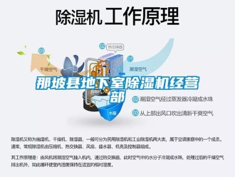 行业新闻那坡县地下室除湿机经营部