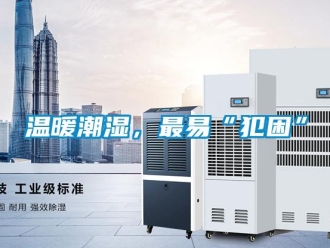 知识百科温暖潮湿，最易“犯困”