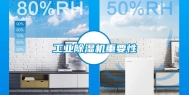 工业除湿机重要性