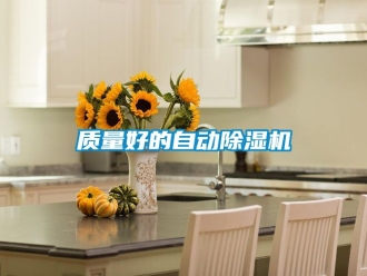 行业新闻质量好的自动除湿机