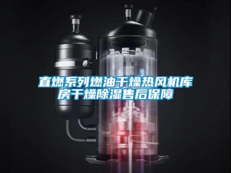 行业新闻直燃系列燃油干燥热风机库房干燥除湿售后保障