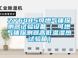 常见问题ZY6485可燃气体探测器试验设备（ 可燃气体探测器高低温湿热试验箱）