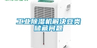 工业除湿机解决豆类储藏问题
