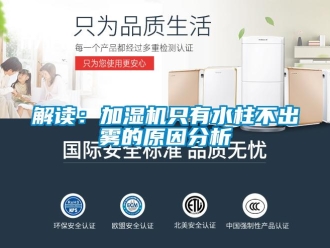 行业新闻解读：加湿机只有水柱不出雾的原因分析