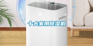十大家用除湿机