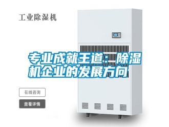 知识百科专业成就王道：除湿机企业的发展方向