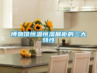 知识百科博物馆恒温恒湿展柜的三大特性