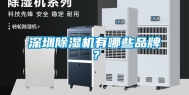 深圳除湿机有哪些品牌？