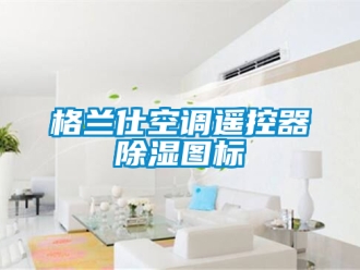 行业新闻格兰仕空调遥控器除湿图标