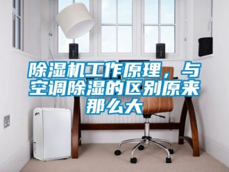 常见问题除湿机工作原理，与空调除湿的区别原来那么大