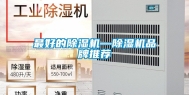 最好的除湿机—除湿机品牌推荐