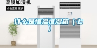 什么是恒温恒湿箱（七）
