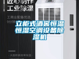 知识百科立柜式酒窖恒温恒湿空调设备除湿机