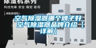 空气除湿器哪个牌子好 空气除湿器品牌介绍【详解】