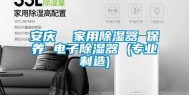 安庆  家用除湿器 保养 电子除湿器 (专业制造)