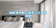 梅雨季中的“杀手”工具除湿机