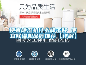 企业新闻便宜除湿机什么牌子好 便宜除湿机品牌推荐【详解】