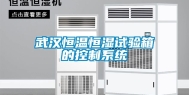 武汉恒温恒湿试验箱的控制系统