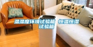 温湿度环境试验箱 恒温恒湿试验箱