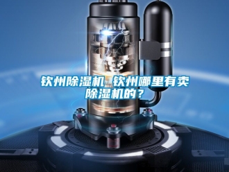 行业新闻钦州除湿机 钦州哪里有卖除湿机的？
