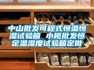 知识百科中山批发可程式恒温恒湿试验箱 小榄批发恒定温湿度试验箱定做