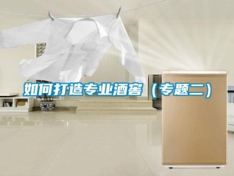 常见问题如何打造专业酒窖（专题二）