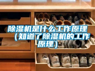 行业新闻除湿机是什么工作原理（知道了除湿机的工作原理）