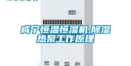咸宁恒温恒湿机,除湿热泵工作原理