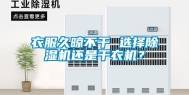衣服久晾不干 选择除湿机还是干衣机？