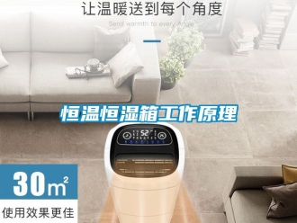 知识百科恒温恒湿箱工作原理