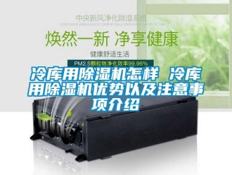 行业新闻冷库用除湿机怎样 冷库用除湿机优势以及注意事项介绍