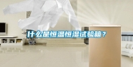 什么是恒温恒湿试验箱？
