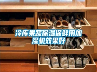 行业新闻冷库果蔬保湿保鲜用加湿机效果好