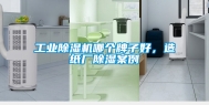 工业除湿机哪个牌子好，造纸厂除湿案例