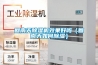 回南天除湿机效果好吗（回南天如何除湿）