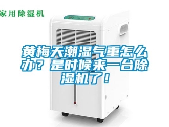 常见问题黄梅天潮湿气重怎么办？是时候来一台除湿机了！