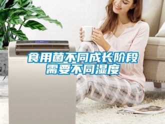 知识百科食用菌不同成长阶段需要不同湿度